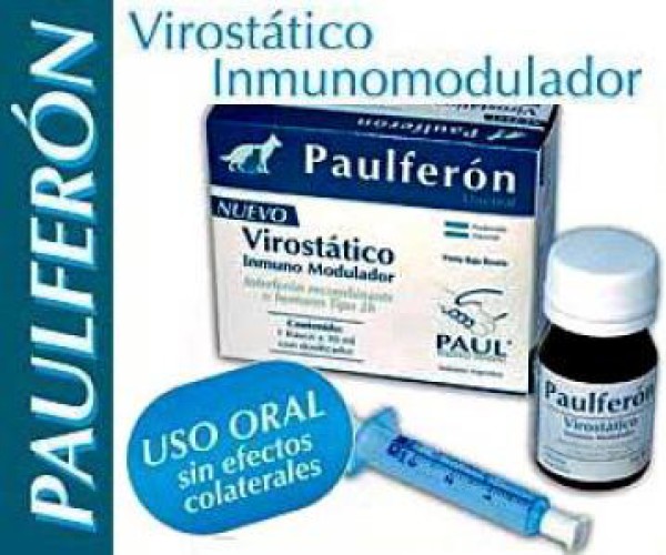 Foto Producto